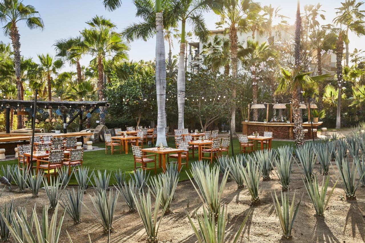 Esperanza, Auberge Resorts Collection カボ・サン・ルーカス エクステリア 写真